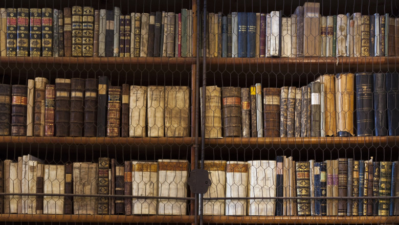 Cea mai veche biblioteca din Ungaria, invadata de gandaci. 100.000 de carti rare ar putea fi distruse. Masuri urgente de dezinsectie Imagine