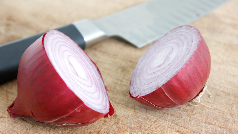 Ceapa de Buzau „Bot de vulpe”, soi pierdut si recuperat din SUA, a fost inscris in Catalogul european Imagine