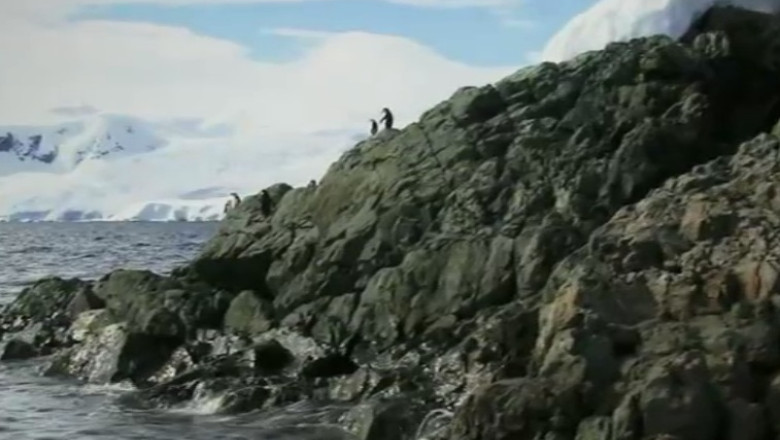 Cearta intre cercetatori pe incalzirea globala Imagine