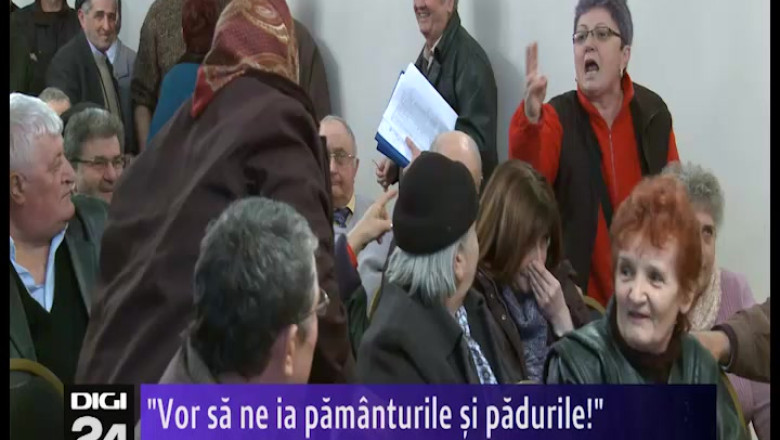 Cearta pentru padure. Sute de hectare, motiv de discordie intr-o localitate de langa Oradea Imagine