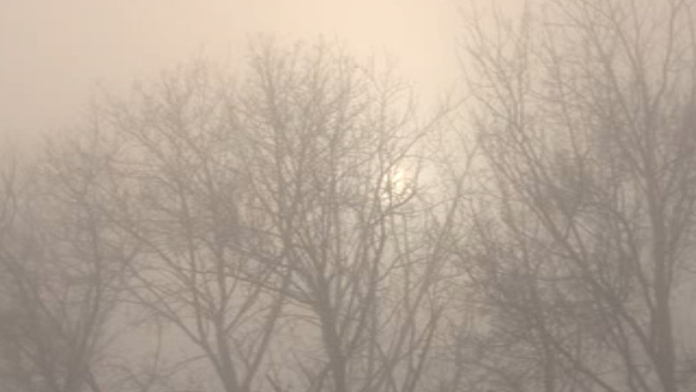 Ceata densa pe drumurile din sase judete ale Moldovei Imagine