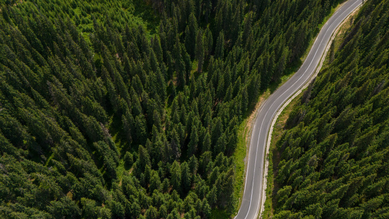 CEDO obliga statul roman sa retrocedeze 17.000 de hectare de padure sau sa plateasca despagubiri de peste 61 de milioane de euro Imagine