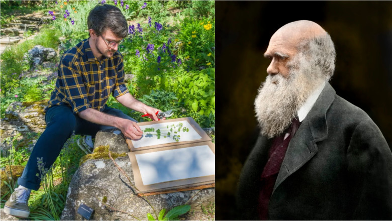 „Cel mai bun job din lumea naturala”: Un colectionar de seminte va pleca intr-o aventura in jurul lumii pe urmele lui Charles Darwin Imagine