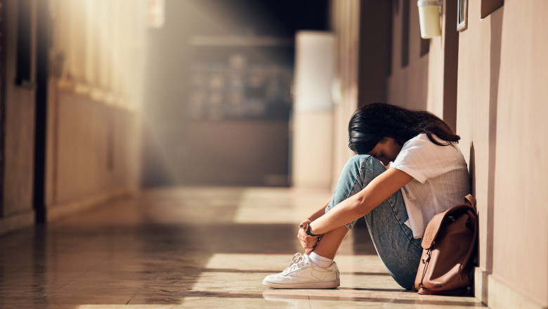 Cele doua eleve din Hunedoara s-au sinucis dupa ce au fost la o petrecere. Zeci de persoane din anturajul lor vor fi audiate Imagine