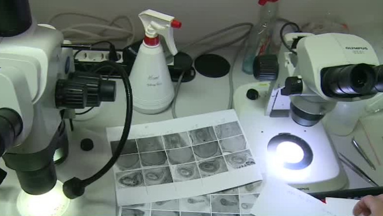 Cercetatorii clujeni, lideri formatori Imagine