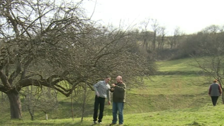 Cercetatorul care vrea sa salveze merele romanesti. Aduna din toata tara soiuri pe cale de disparitie Imagine