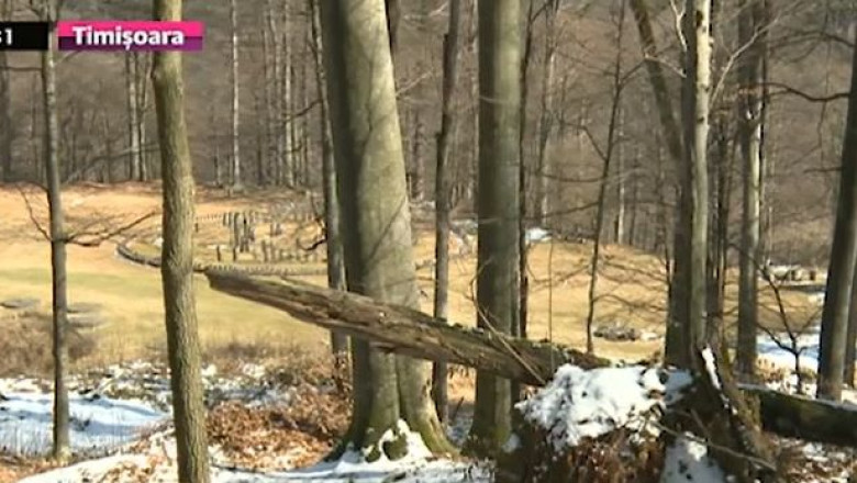 Cetatile dacice risca sa fie distruse din cauza copacilor prabusiti peste fortificatii Imagine