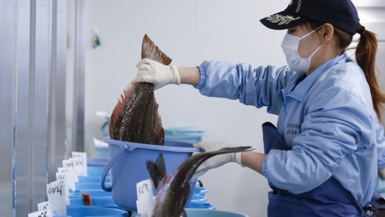 China a interzis toate importurile de produse „cu origine acvatica” din Japonia, dupa ce apa de la Fukushima a fost aruncata in ocean Imagine