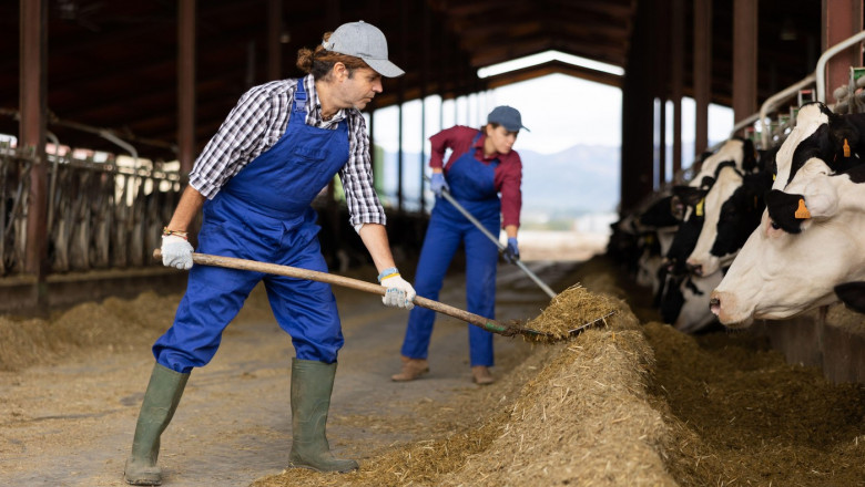 China isi pregateste raspunsul la tarifele impuse de Trump. Beijingul ia in vizor importurile de produse agricole si alimentare din SUA Imagine