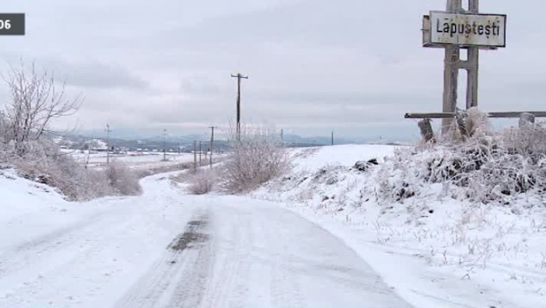 Chinezii, asteptati la Lapustesti Imagine