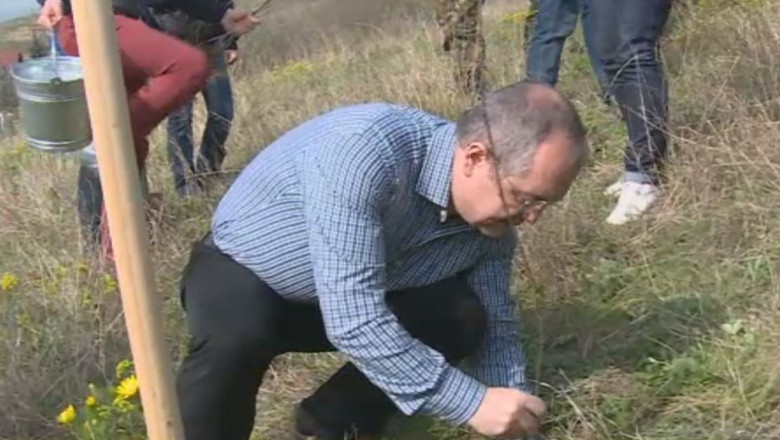 Cinci ani de plantari, niciun rezultat Imagine