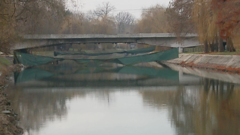 Cinci poduri noi peste Bega. Unde vrea sa le construiasca Primaria Timisoara Imagine