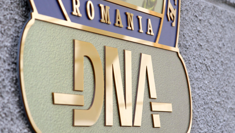 Cine a facut denunturi impotriva Elenei Udrea Imagine