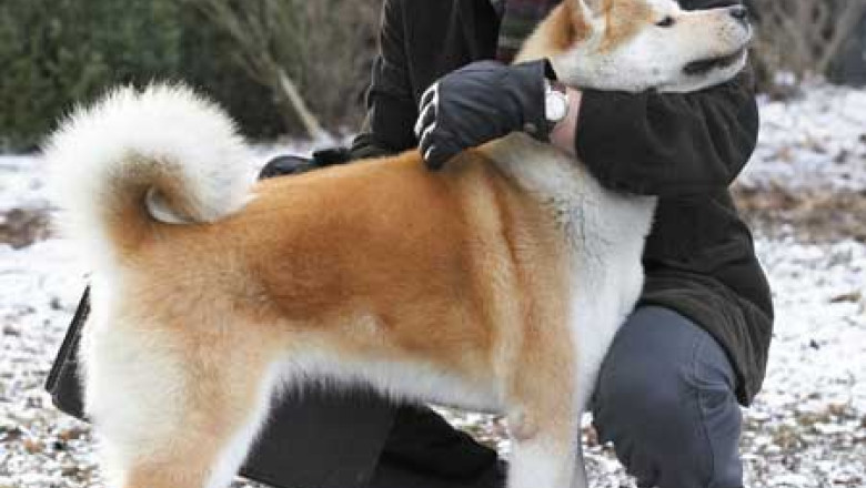 CINEMA REPER. Elevii pot urmari filme, gratuit, timp de doua saptamani la Muzeul Taranului Roman Imagine