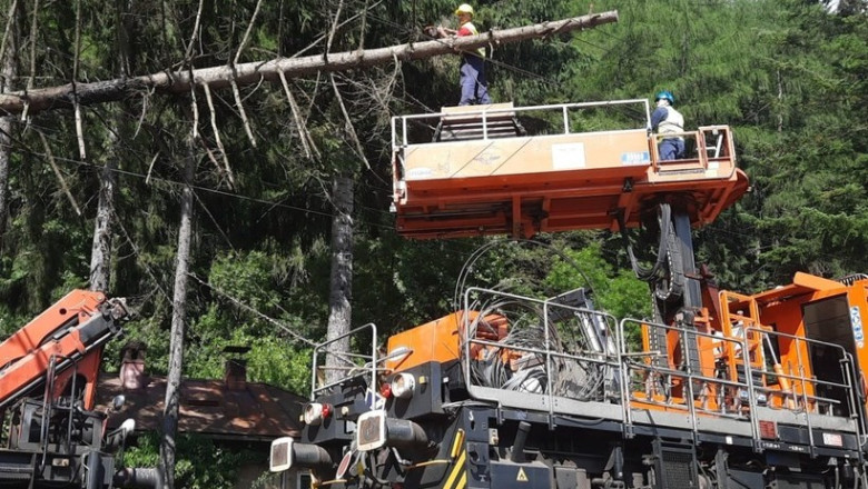 Circulatia trenurilor intre Sinaia-Busteni, reluata dupa ce un copac a cazut pe linia de contact. 2.106 minute de intarziere cumulate Imagine