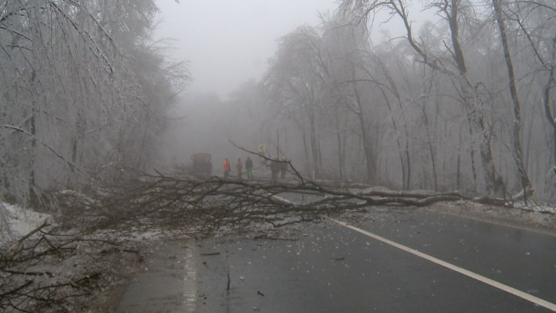 Circulatie ingreunata din cauza crengilor inghetate cazute pe carosabil, pe DN 24 Imagine