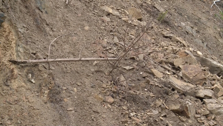 Circulatie restrictionata pe Valea Oltului Imagine