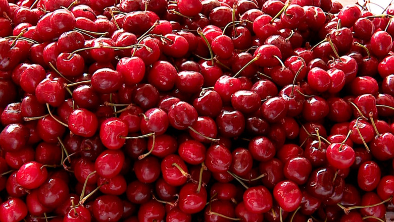 Ciresele romanesti, pe placul rusilor Imagine