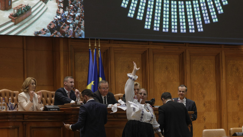 Ciuca le cere senatorilor "mobilizare exemplara": Fara circ si fara gesturi la limita bunului simt Imagine