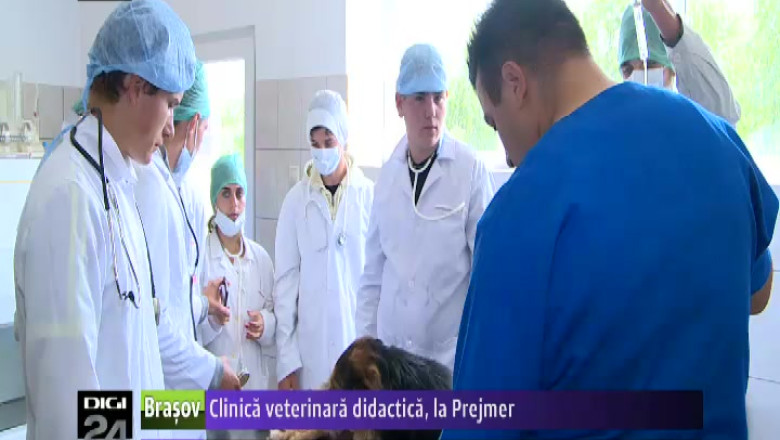 Clinica veterinara didactica, la Prejmer Imagine