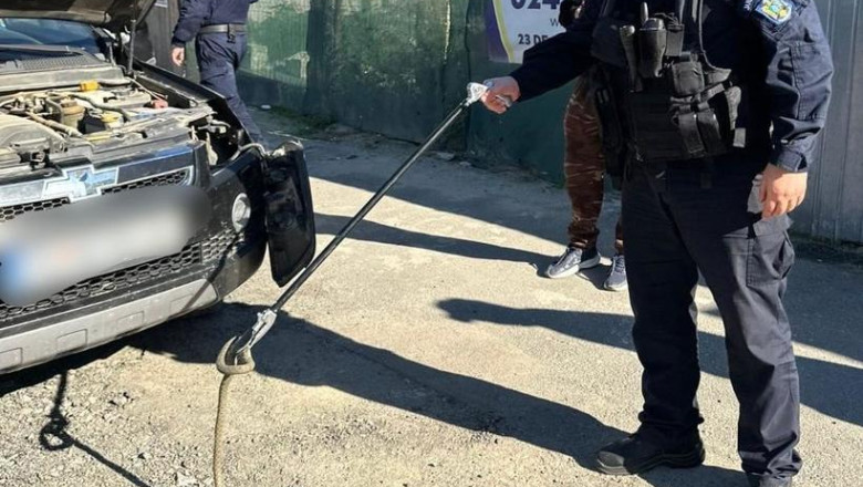 Clipe de cosmar pentru un sofer din Tulcea, dupa ce s-a trezit cu un sarpe pe parbriz in timp ce conducea Imagine