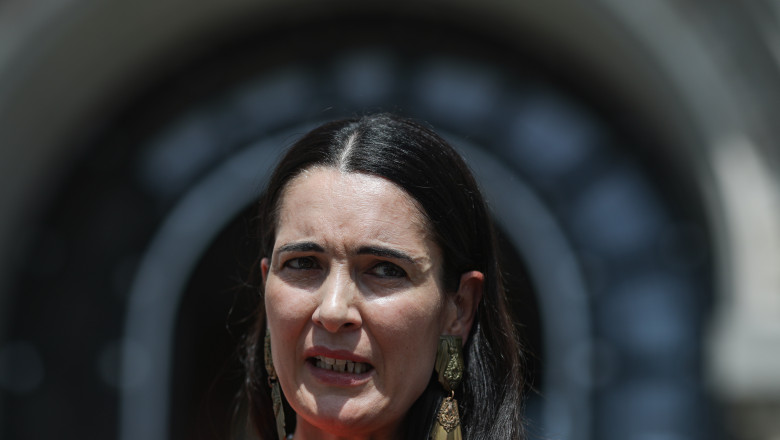 Clotilde Armand spune ca ar putea fi confiscate aproape 20 de milioane de lei din veniturile obtinute de terase din Herastrau Imagine