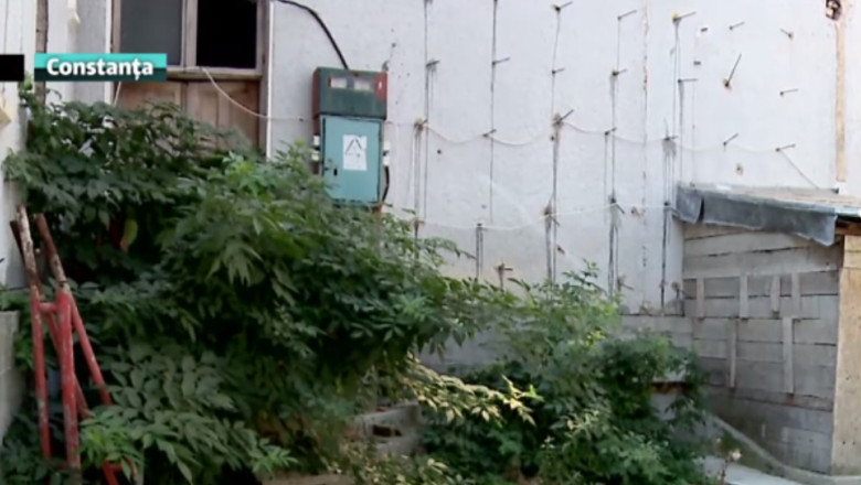 Club sportiv in ruina. Guvernul a uitat sa mai aloce 2 milioane de lei Imagine