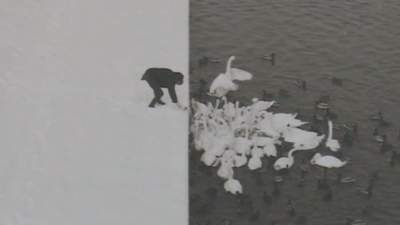 Clujul, capitala fotografiei Imagine