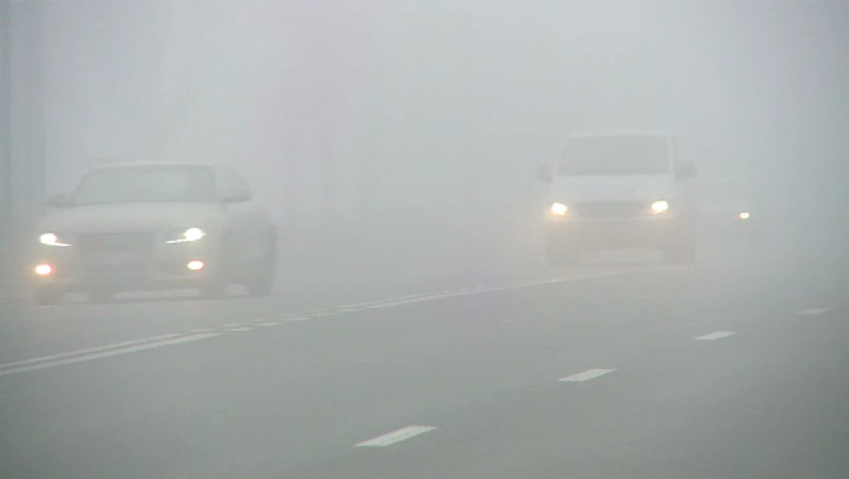 Cod galben de ceata in Gorj si Valcea Imagine