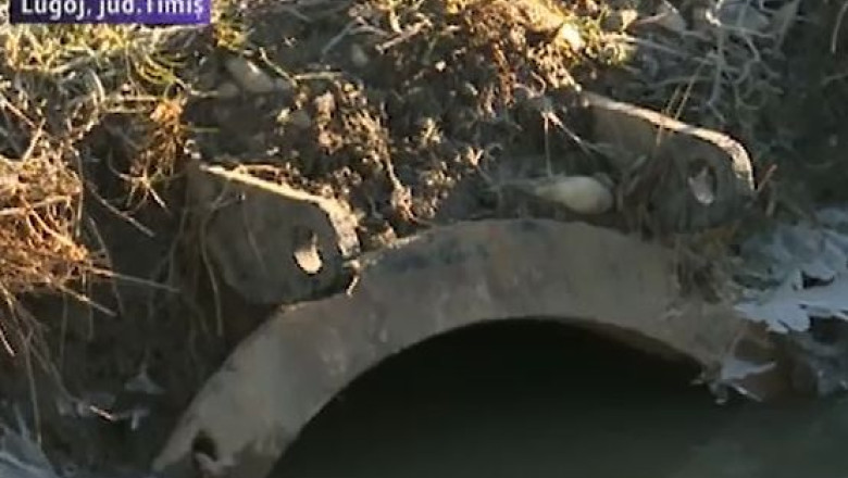 ”Cod galben” de furt. Hotii de fier vechi au furat bucati de metal din digul de la Lugoj Imagine