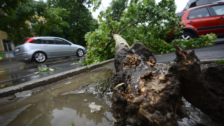 COD GALBEN DE FURTUNA in patru judete din tara Imagine