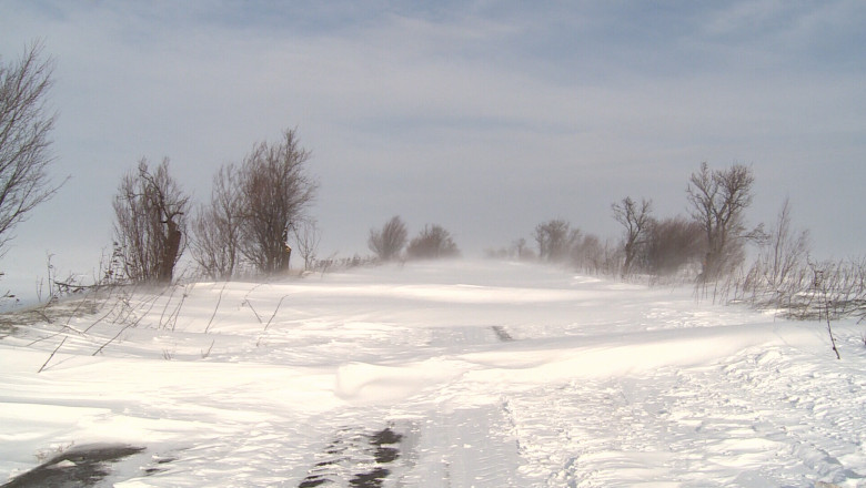 Cod galben de ninsori in Oltenia Imagine