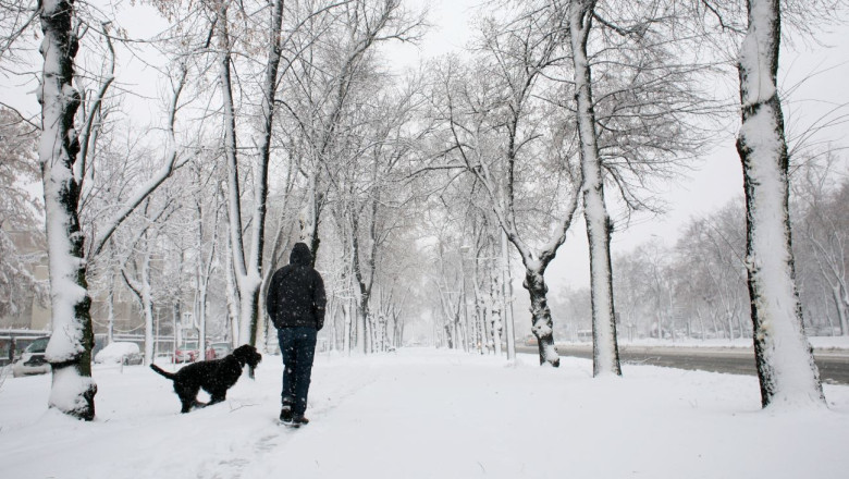Cod galben de ninsori si viscol pana marti dimineata. 26 de judete vor fi afectate Imagine