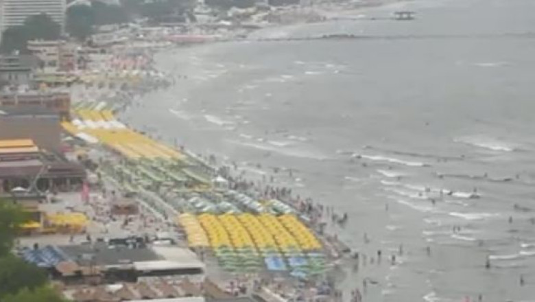 Cod galben de ploi pe litoral Imagine