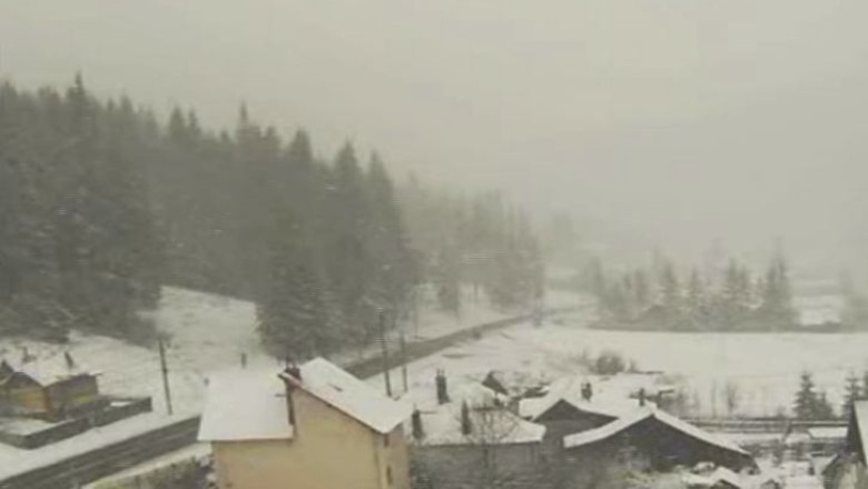 Cod galben de ploi si ninsori in 12 judete. Stratul de zapada la Paltinis este de 15 centimetri Imagine
