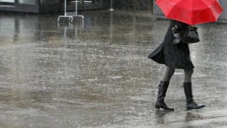 Cod galben de ploi si ninsori Imagine