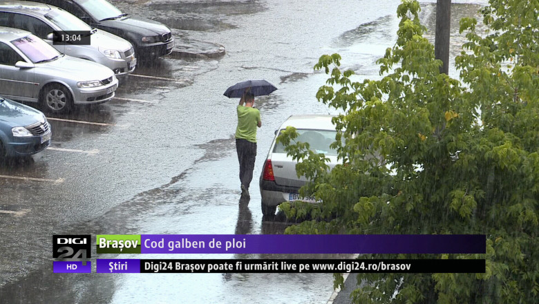 Cod galben de ploi  Imagine