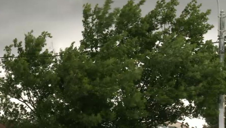 Cod galben de vant pentru mai multe judete din Moldova Imagine