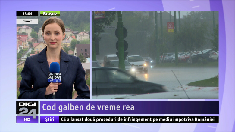 Cod galben de vreme rea Imagine