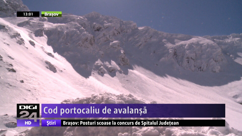 Cod portocaliu de avalansa Imagine