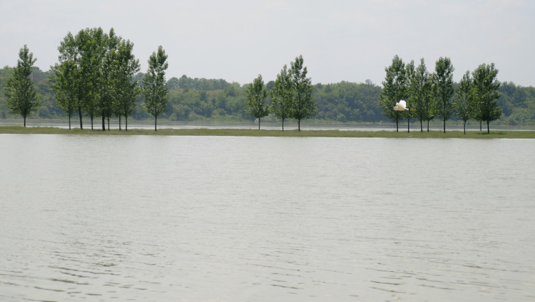 Cod portocaliu de INUNDAtII pe Dunare Imagine