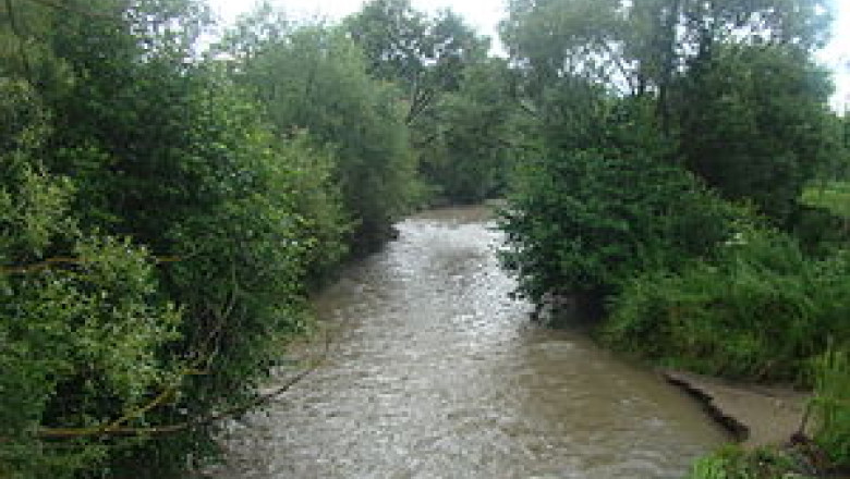 Cod portocaliu de inundatii Imagine