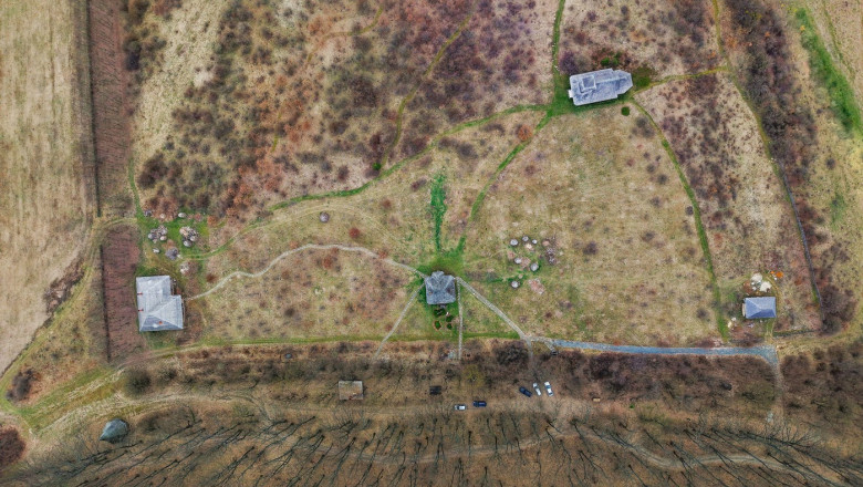 Codrii Vlasiei, protejati prea tarziu: padurea uriasa a ajuns un petic de verdeata. Zona va fi parte din Centura Verde a Capitalei Imagine