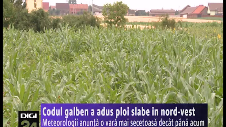 Codul galben a adus ploi slabe in nord-vest. Urmeaza o vara secetoasa, anunta meteorologii Imagine