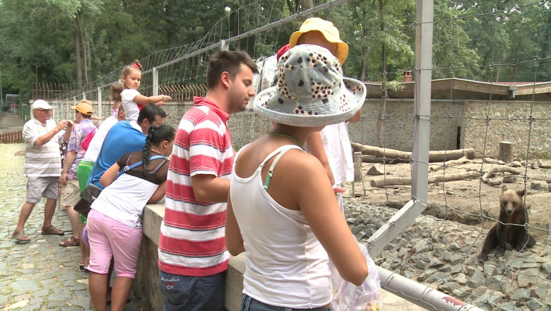 Codul galben de canicula, invins la... Zoo Timisoara Imagine