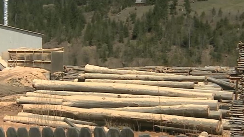 Codul Silvic, contestat. Vechea metoda de aproximare a cantitatii de lemn taiat a fost mentinuta Imagine