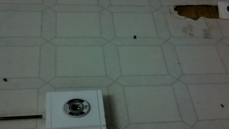 Colegi de salon cu gandacii. DSP Constanta a trimis controlul la Spitalul Judetean. Rezultatul: NU EXISTA GANDACI! Imagine