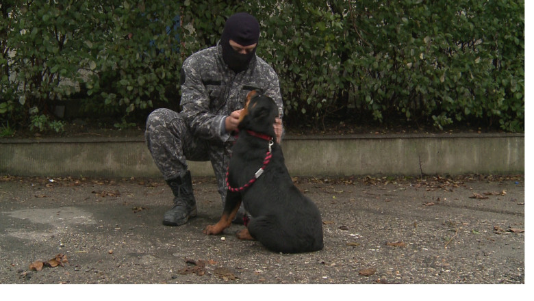 Colegi noi pentru luptatorii SIAS Constanta Imagine