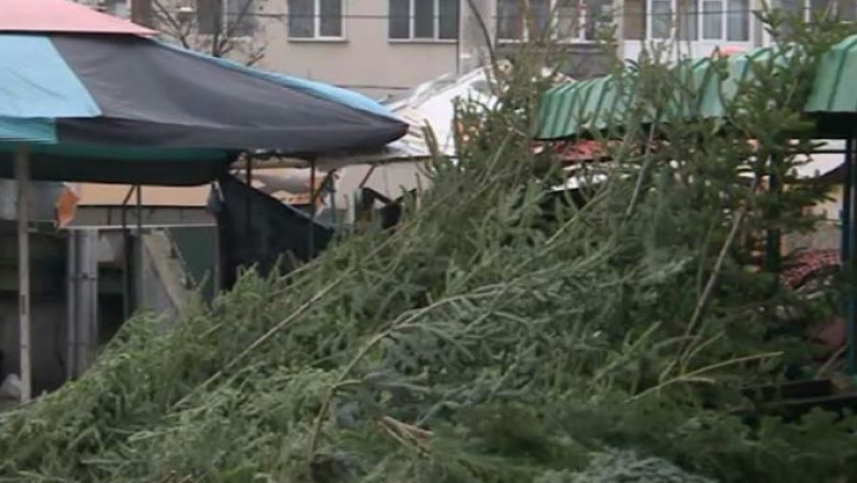 Comerciantii au abandonat in piete brazii nevanduti Imagine
