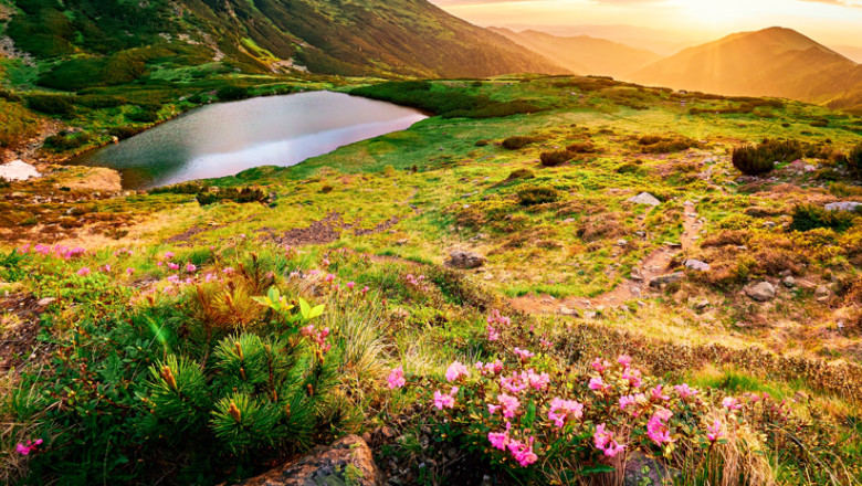 Comisia Europeana: Romania are termen doua luni sa ia masuri pentru a-si proteja si gestiona siturile Natura 2000. Ce urmeaza apoi Imagine